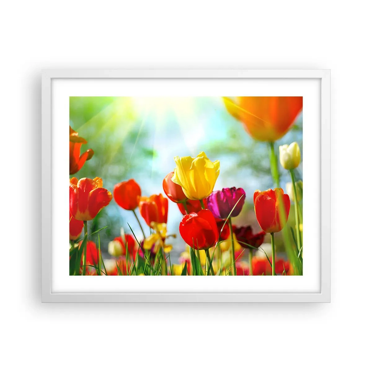 Affiche dans un cadre blanc - Poster - Toutes les couleurs du soleil - 50x40 cm