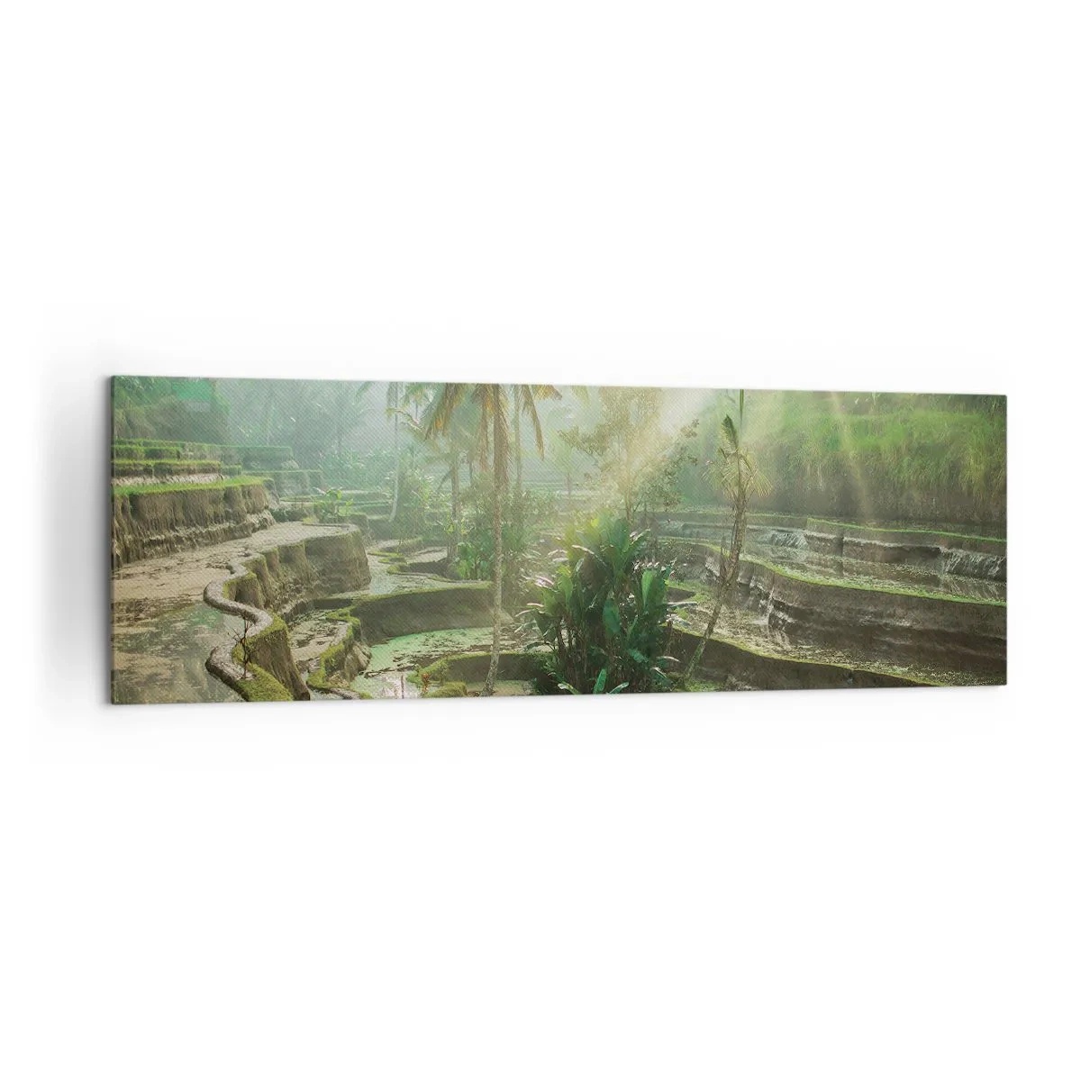 Impression sur toile - Image sur toile - Rizières en terrasses avec palmiers sous les rayons du soleil - 160x50cm - Grandir au soleil - Décoration murale moderne pour le salon et la chambre ARTTOR