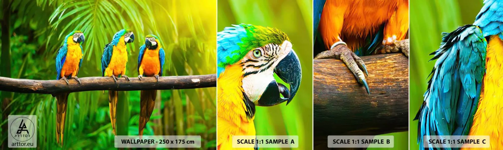 Échantillon De Papier Peint Standard Eco - Et avez-vous entendu qu'elle ...? - Des oiseaux, Perroquets, Nature - 100x30 cm