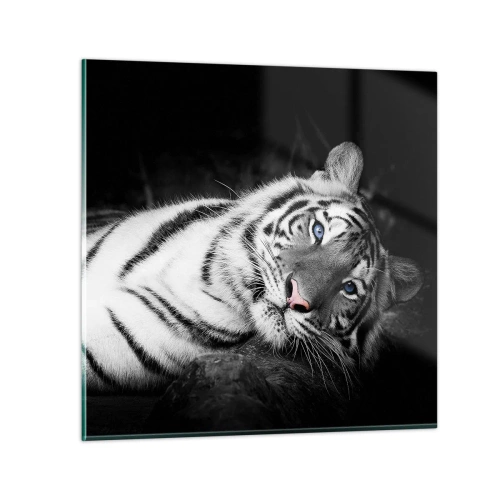 Impression sur verre - Image sur verre - Sauvagerie et paix - 60x60 cm