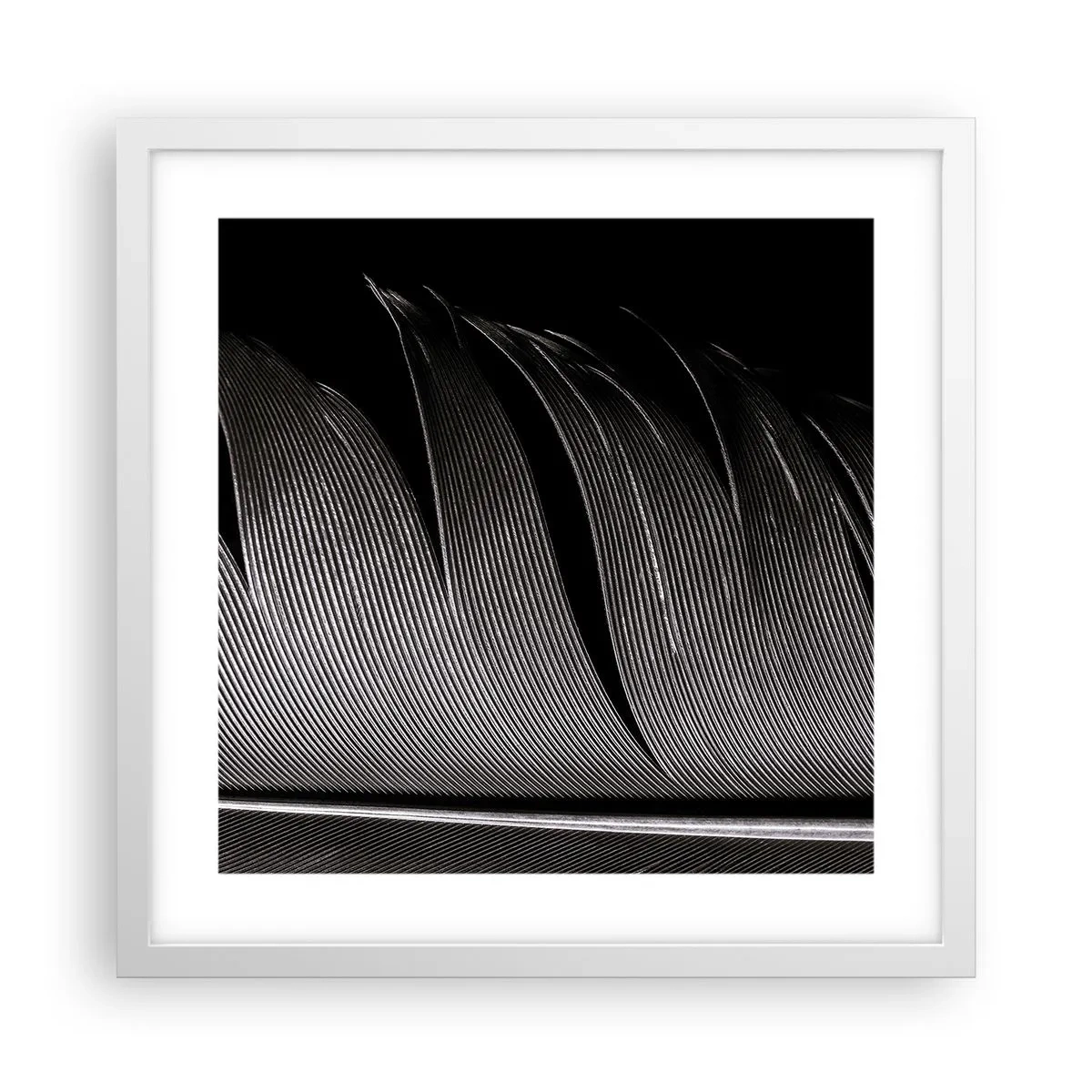 Affiche dans un cadre blanc - Poster - La plume – un design magnifique - 40x40 cm