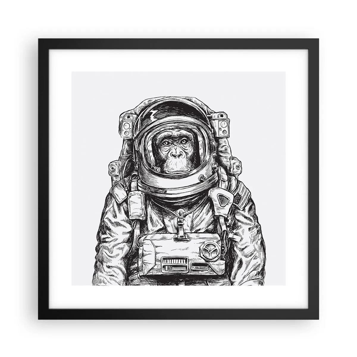 Affiche dans un cadre noir - Poster - Évolution alternative - 40x40 cm