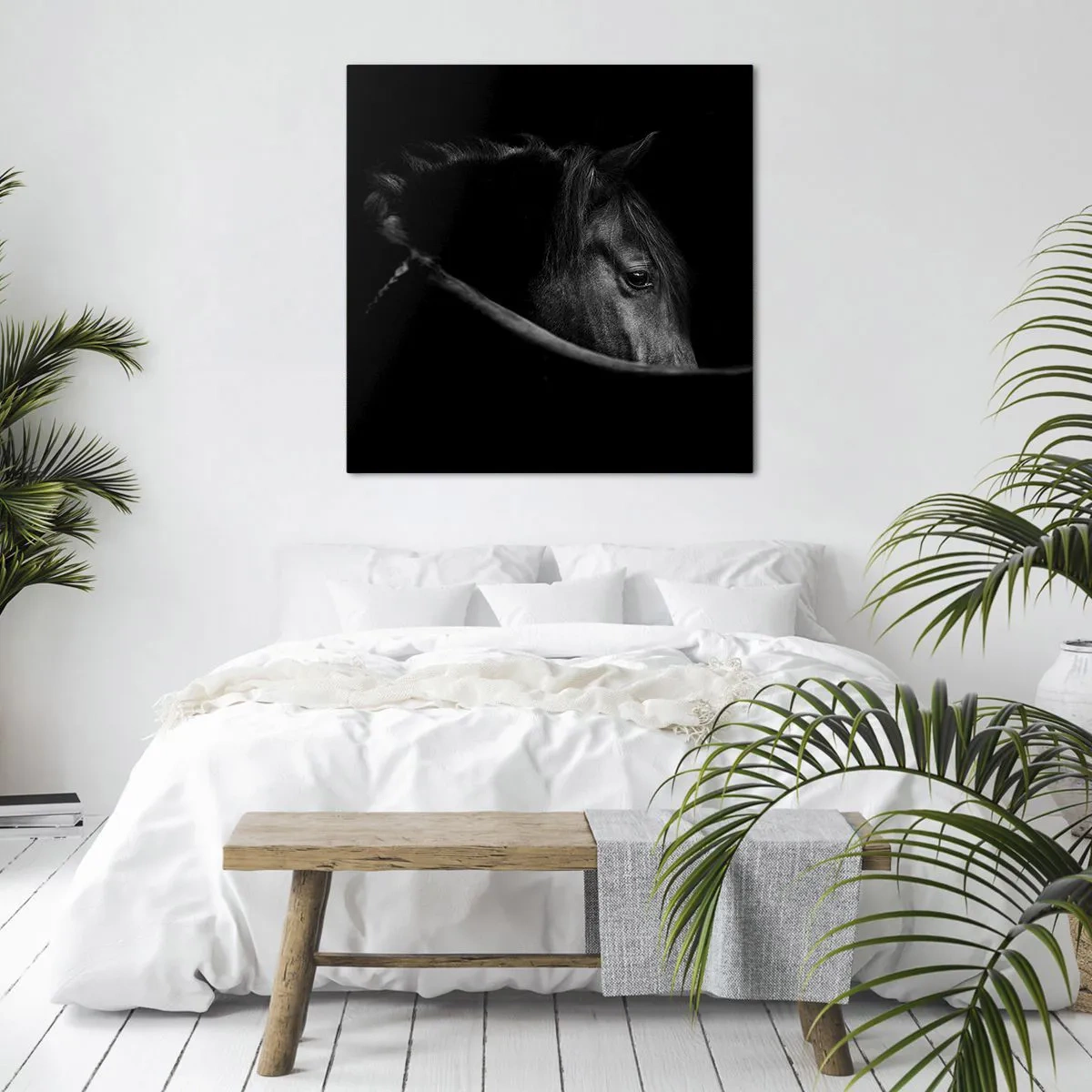 Impression sur toile - Image sur toile - Prince Noir - 30x30 cm