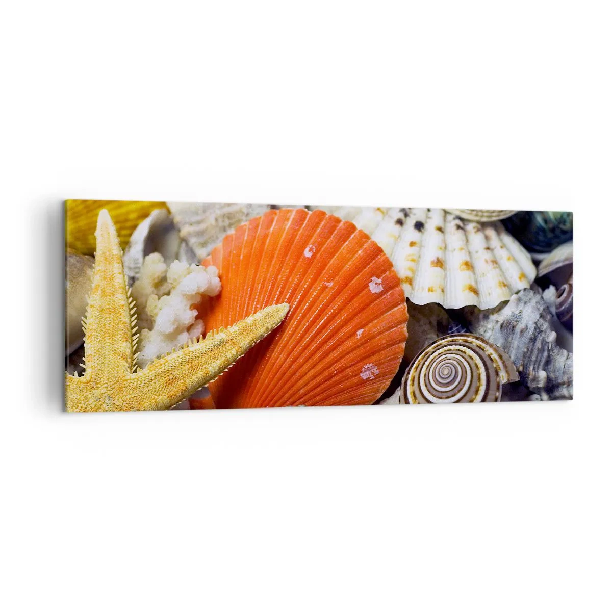 Impression sur toile - Image sur toile - Coquillages et étoiles de mer dans une composition marine - 140x50cm - Trésors de l'océan - Décoration murale moderne pour le salon et la chambre ARTTOR