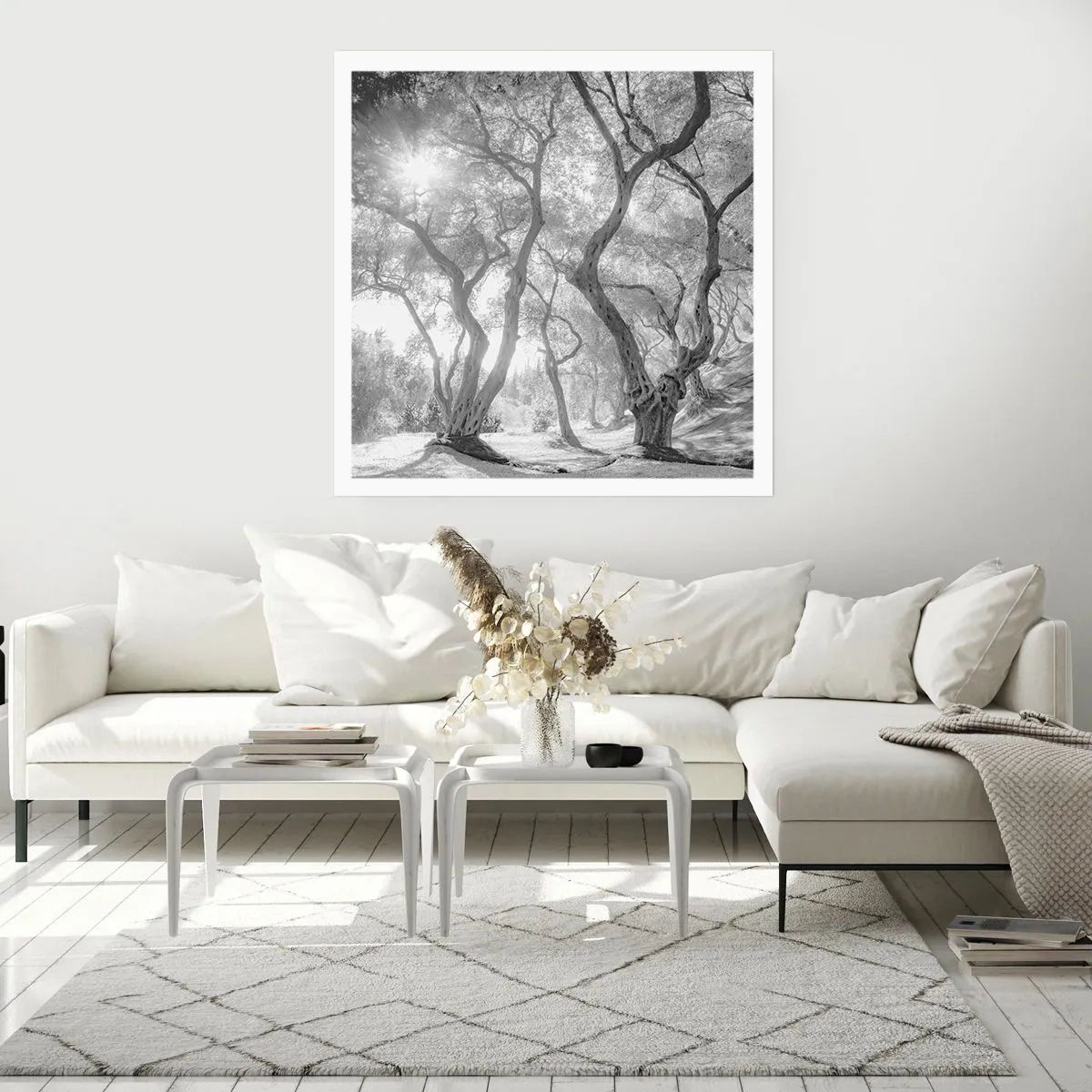 Affiche - Poster - Dans l'oliveraie - 60x60 cm