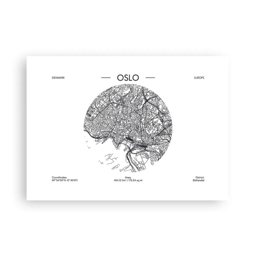 Affiche - Poster - Anatomie d’Oslo - 70x50 cm