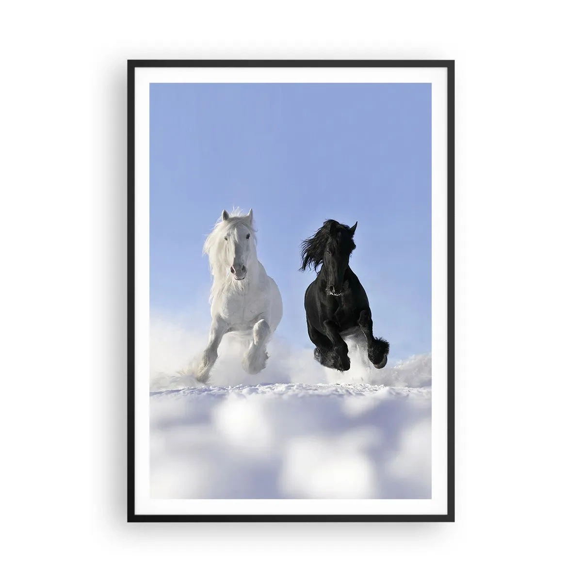 Affiche dans un cadre noir - Poster - Galop noir et blanc - 70x100 cm