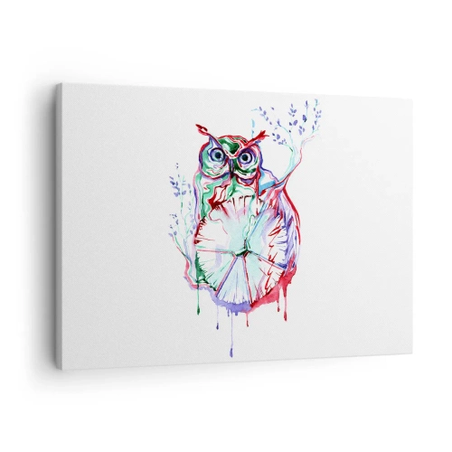 Impression sur toile - Image sur toile - Chouette aquarelle colorée dans un style artistique - 70x50cm - Sage par nature - Décoration murale moderne pour le salon et la chambre ARTTOR