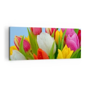 Impression sur toile - Image sur toile - Un arc-en-ciel fleuri en gouttes de rosée - 100x40 cm