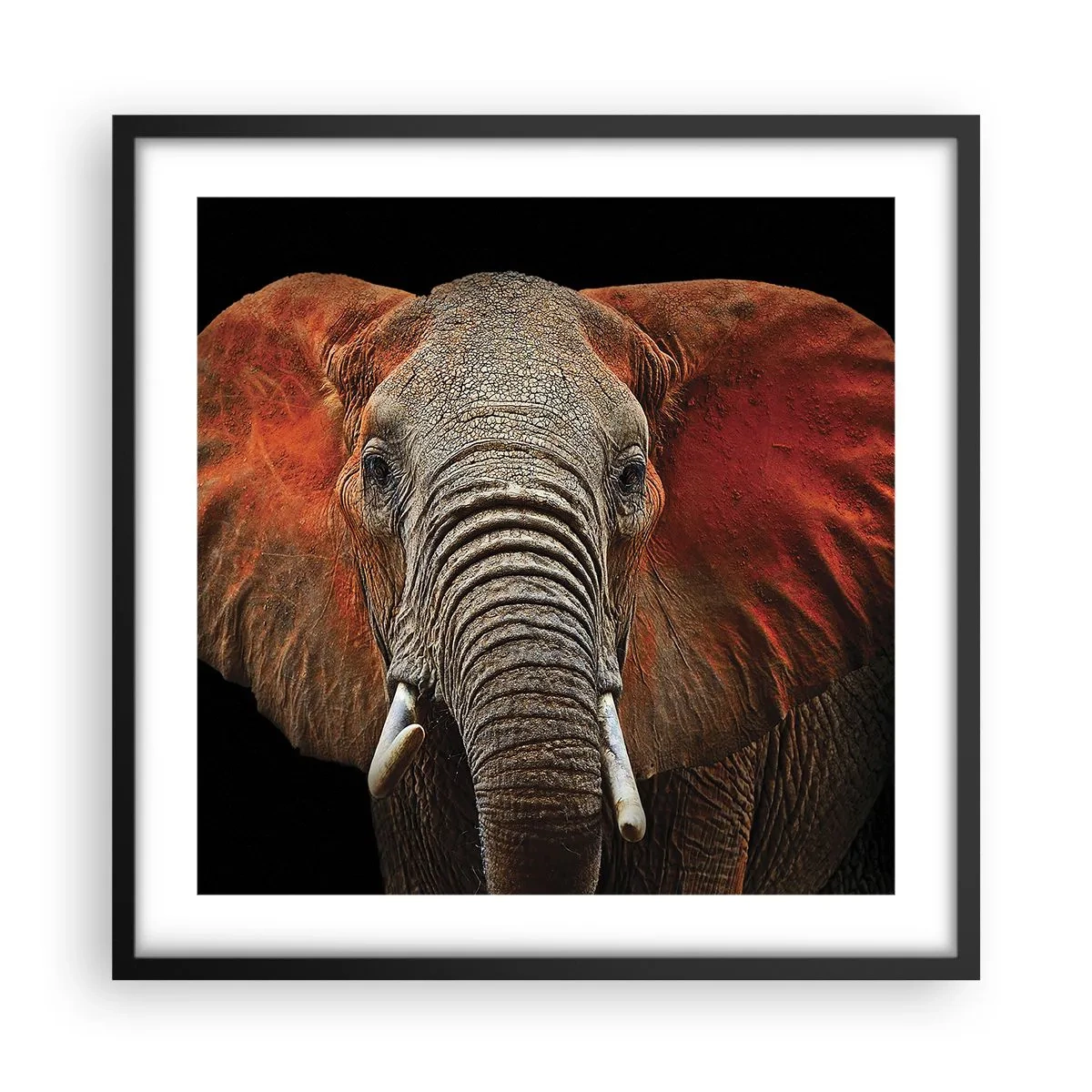 Affiche dans un cadre noir - Poster - Je suis sauvage, et toi? - 50x50 cm