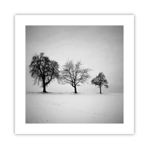 Affiche - Poster - A quoi rêvent-ils? - 40x40 cm