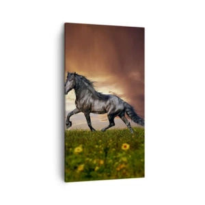 Impression sur toile - Image sur toile - Livres noirs - 45x80 cm