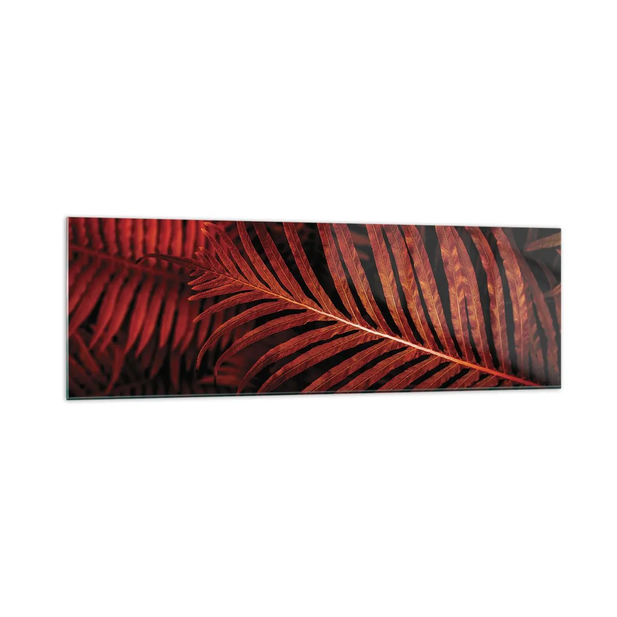 Impression sur verre - Image sur verre - Gros plan de feuilles tropicales rouges - 160x50cm - Chaleur de la vie - Décoration murale moderne pour le salon et la chambre ARTTOR