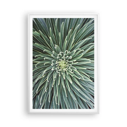 Affiche dans un cadre blanc - Poster - Naissance d'une étoile - 70x100 cm