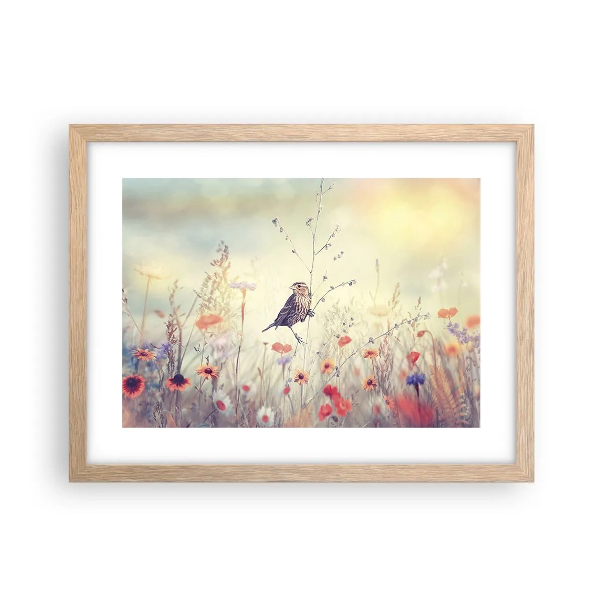 Affiche dans un chêne clair - Poster - Portrait d'oiseau sur pré en fond - 40x30 cm