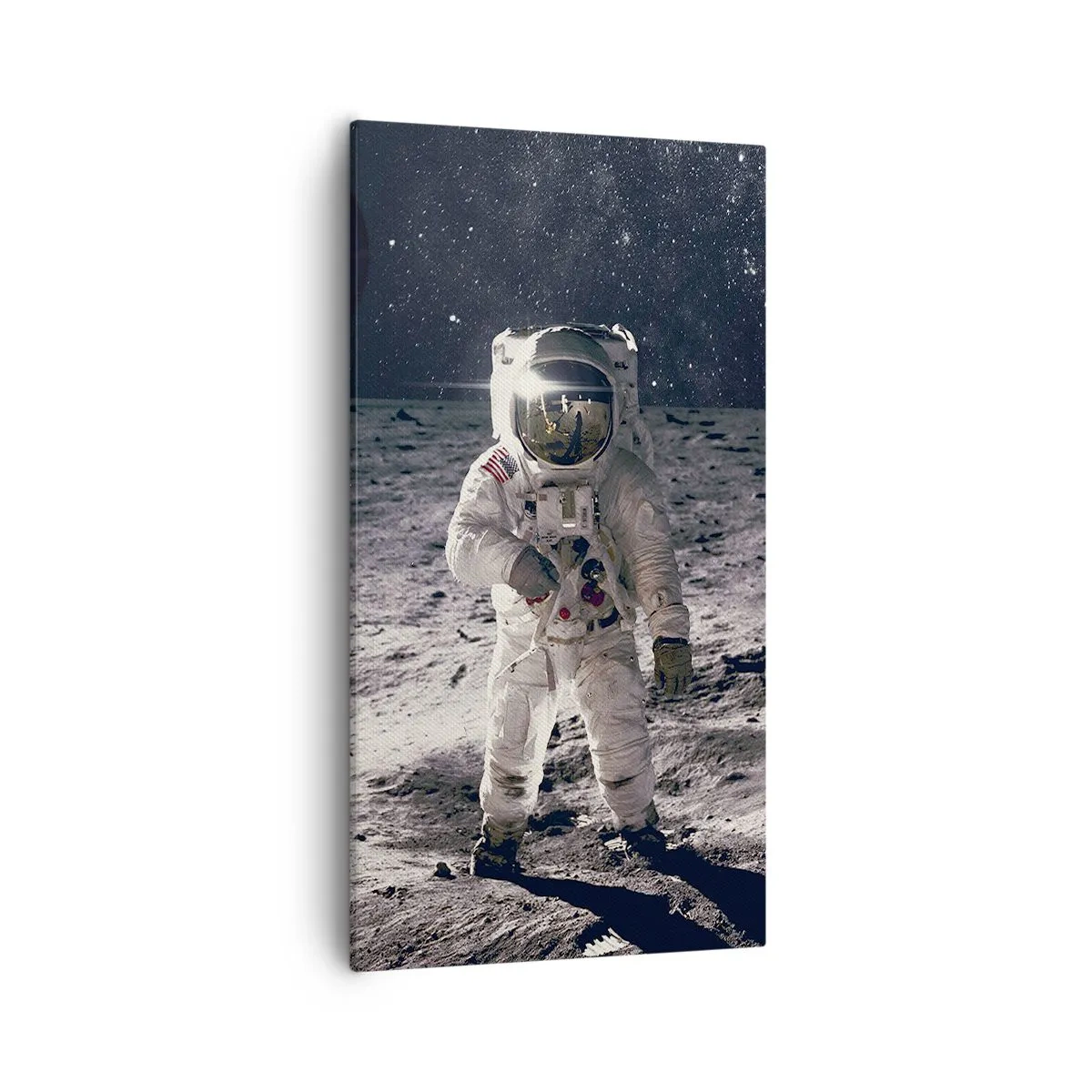 Impression sur toile - Image sur toile - Salutations de la lune - 55x100 cm