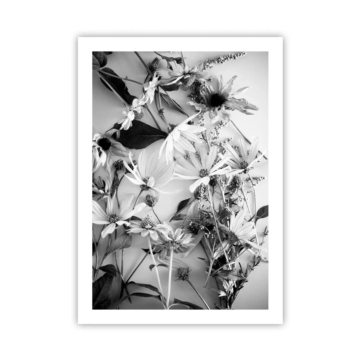 Affiche - Poster - Fleurs noires et blanches disposées dans un arrangement artistique - 50x70cm - Non-un bouquet de fleurs - Décoration murale moderne pour le salon et la chambre ARTTOR