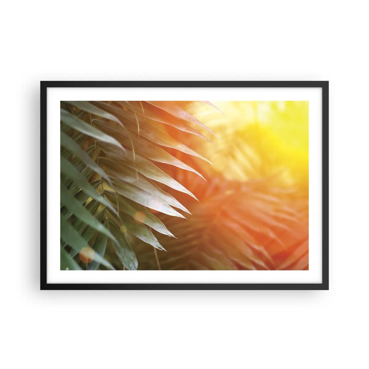 Affiche dans un cadre noir - Poster - Feuilles de palmier dans les rayons du soleil couchant - 70x50cm - Matinée dans la jungle - Décoration murale moderne pour le salon et la chambre ARTTOR