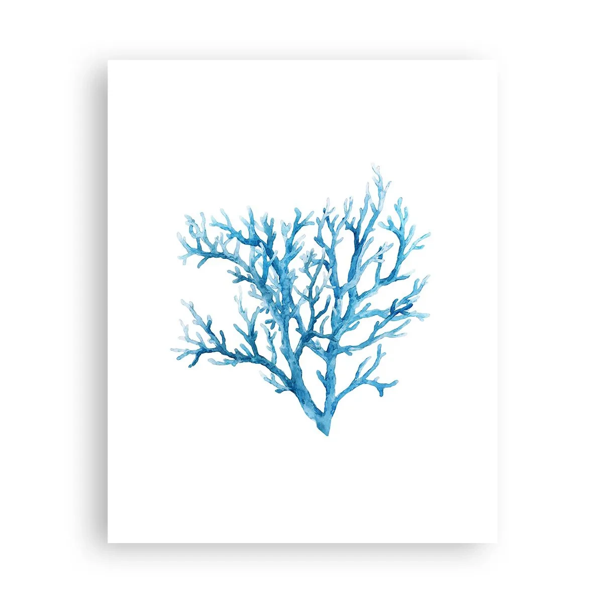 Affiche - Poster - Filigrane nautique - 40x50 cm