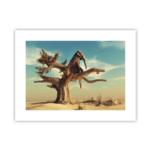 Affiche - Poster - Nouveau point de vue - 40x30 cm