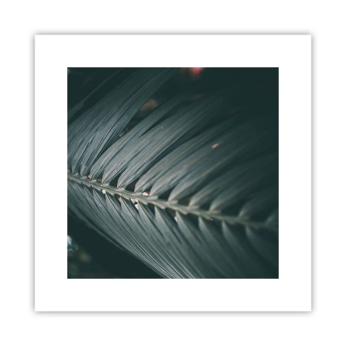 Affiche - Poster - Précision de la nature - 30x30 cm