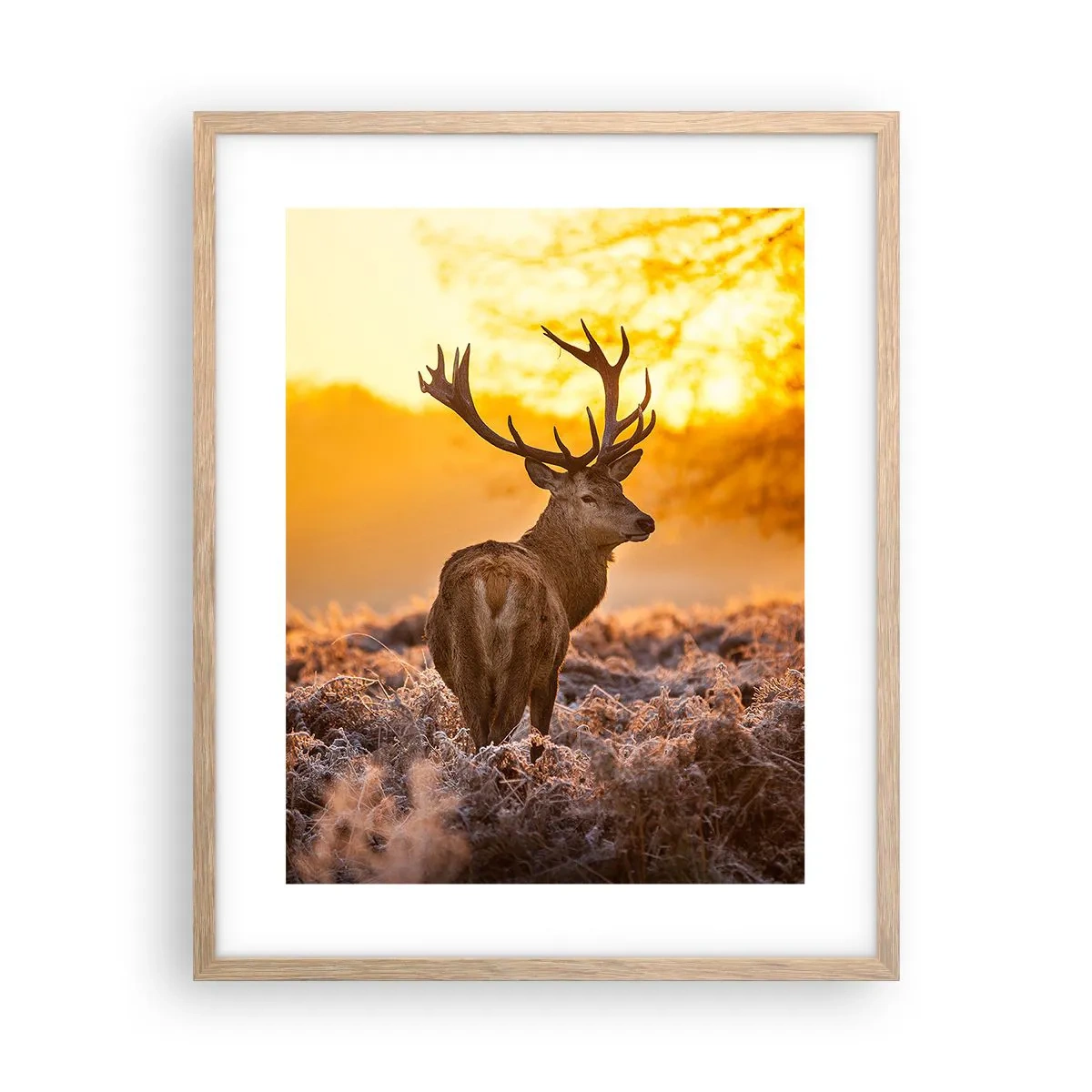 Affiche dans un chêne clair - Poster - Roi de la forêt automnal - 40x50 cm