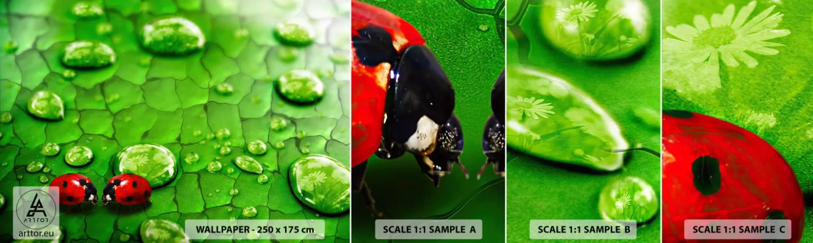 Échantillon de Papier Peint Autocollant Deluxe Sticker - Rendez-vous au vert - Nature, Coccinelle, Une goutte d'eau - 100x30 cm