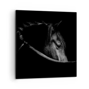 Impression sur toile - Image sur toile - Prince Noir - 50x50 cm