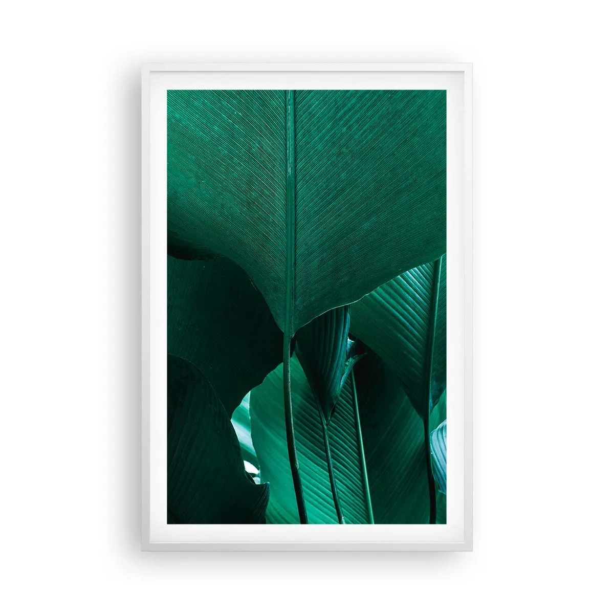 Affiche dans un cadre blanc - Poster - Tourné vers la lumière - 61x91 cm