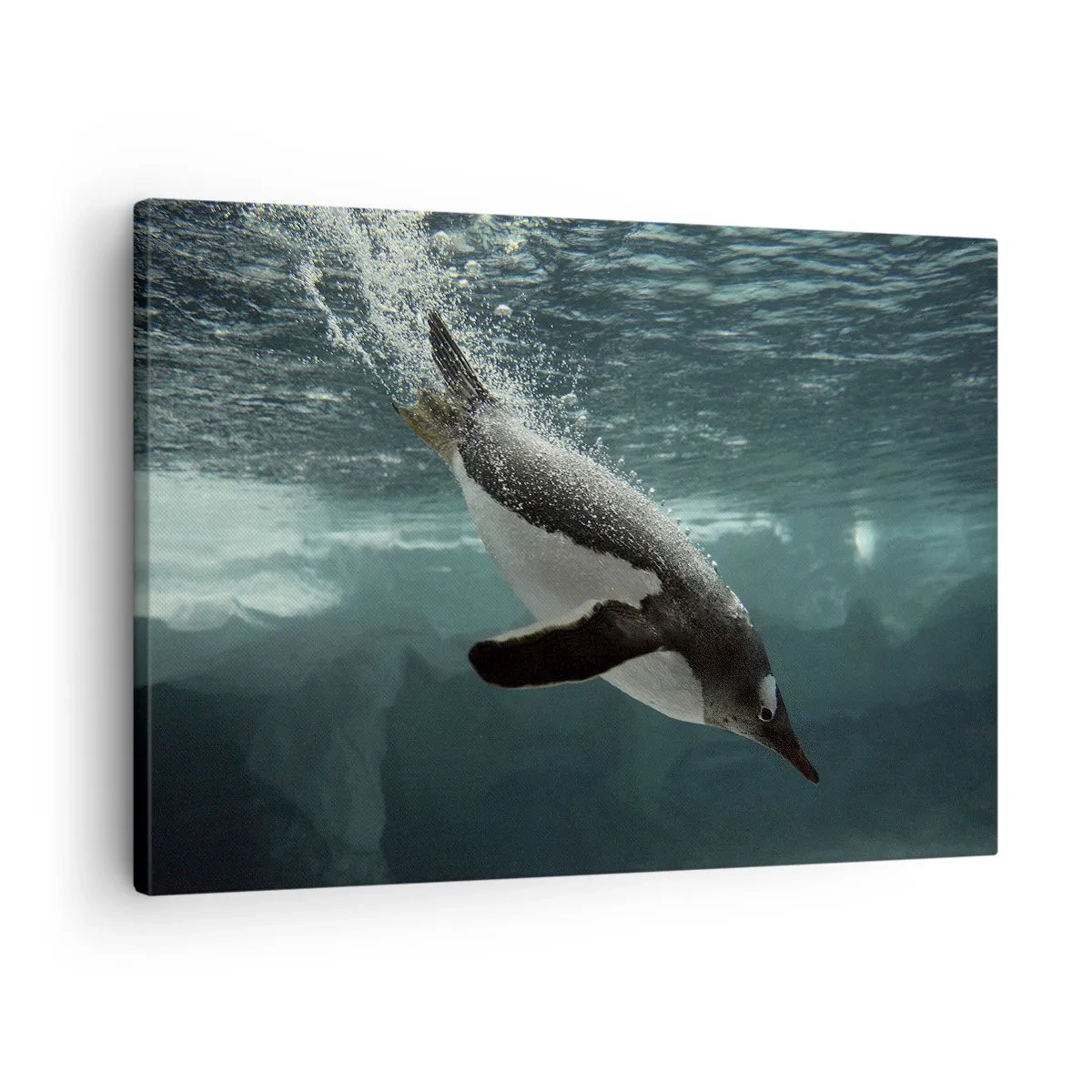 Impression sur toile - Image sur toile - Un pingouin plongeant dans les profondeurs de l'eau glacée - 70x50cm - Bienvenue dans mon monde - Décoration murale moderne pour le salon et la chambre ARTTOR