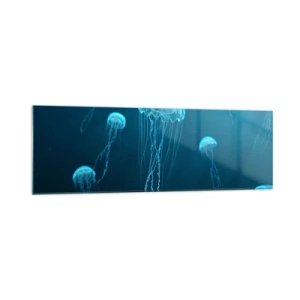 Impression sur verre - Image sur verre - Méduses flottant dans les profondeurs de l'océan dans des tons bleus - 160x50cm - Danse océanique - Décoration murale moderne pour le salon et la chambre ARTTOR