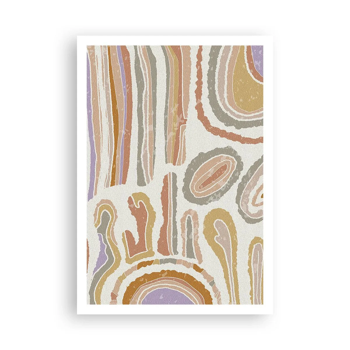 Affiche - Poster - Coupes transversales colorées - 70x100 cm