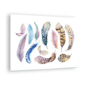 Impression sur verre - Image sur verre - Plumes colorées dans un style artistique sur fond blanc - 70x50cm - Léger, bariolé et multicolore - Décoration murale moderne pour le salon et la chambre ARTTOR