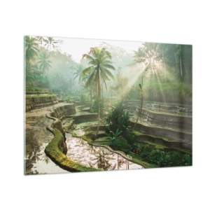 Impression sur verre - Image sur verre - Rizières tropicales avec palmiers dans la brume matinale - 100x70cm - Grandir au soleil - Décoration murale moderne pour le salon et la chambre ARTTOR