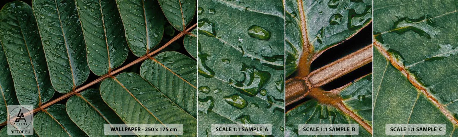 Échantillon de Papier Peint Premium Canvas - Au rythme de la verdure - Feuilles vertes, Plante tropicale, Morceau - 100x30 cm