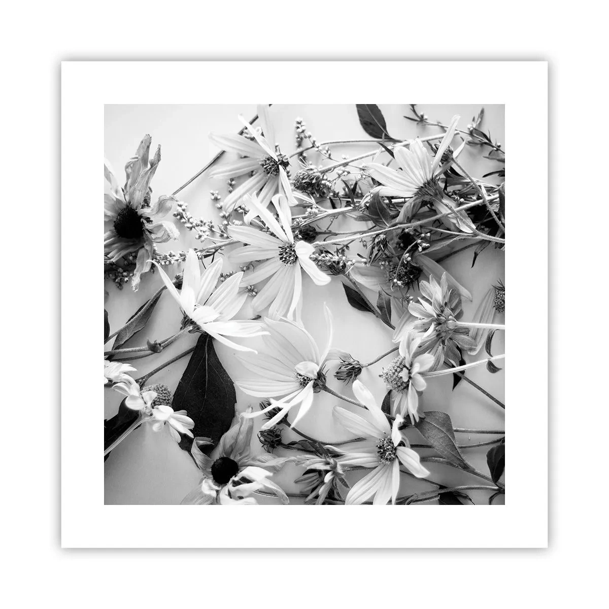 Affiche - Poster - Non-un bouquet de fleurs - 40x40 cm
