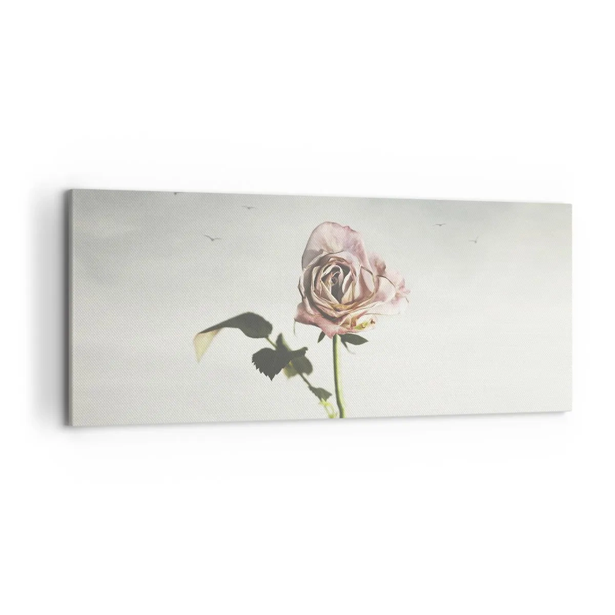 Impression sur toile - Image sur toile - Une rose délicate contre un ciel lumineux avec des oiseaux en vol - 120x50cm - Bonjour de printemps - Décoration murale moderne pour le salon et la chambre ARTTOR