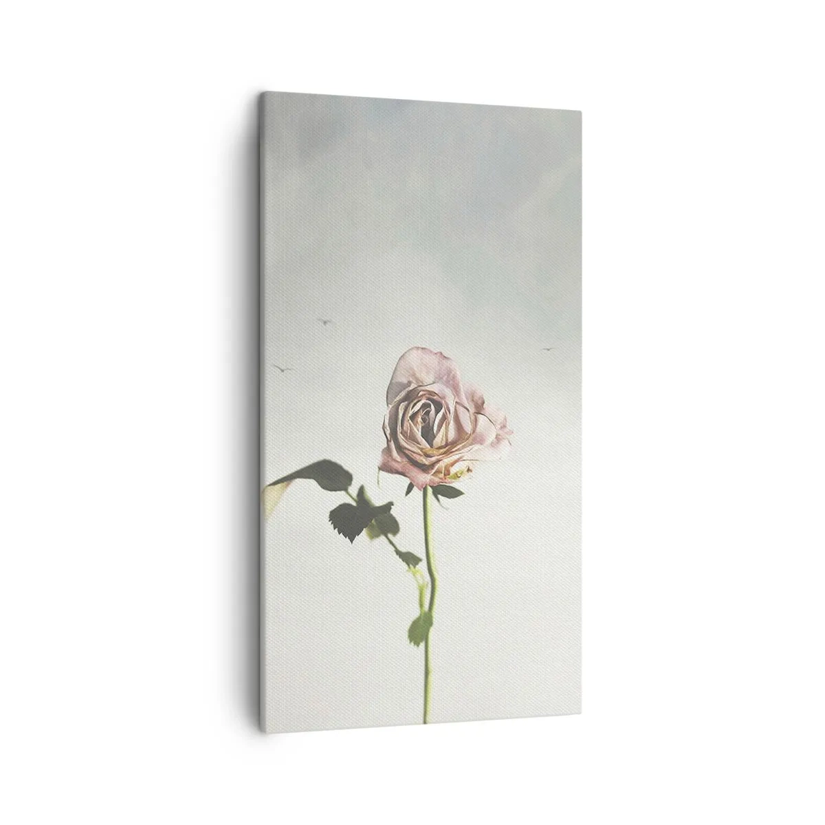 Impression sur toile - Image sur toile - Bonjour de printemps - 45x80 cm