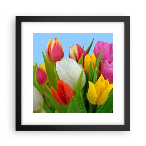 Affiche dans un cadre noir - Poster - Un arc-en-ciel fleuri en gouttes de rosée - 30x30 cm