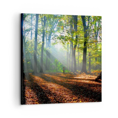 Impression sur toile - Image sur toile - Ombres et lumières - 60x60 cm