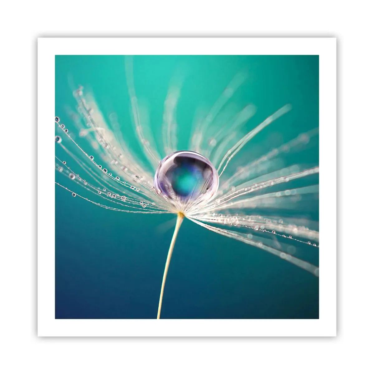 Affiche - Poster - Moment mystique - 60x60 cm