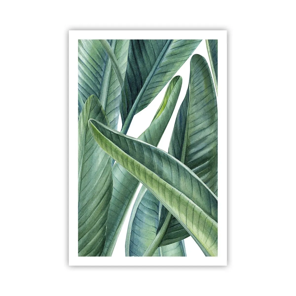 Affiche - Poster - La nature face à elle-même - 61x91 cm