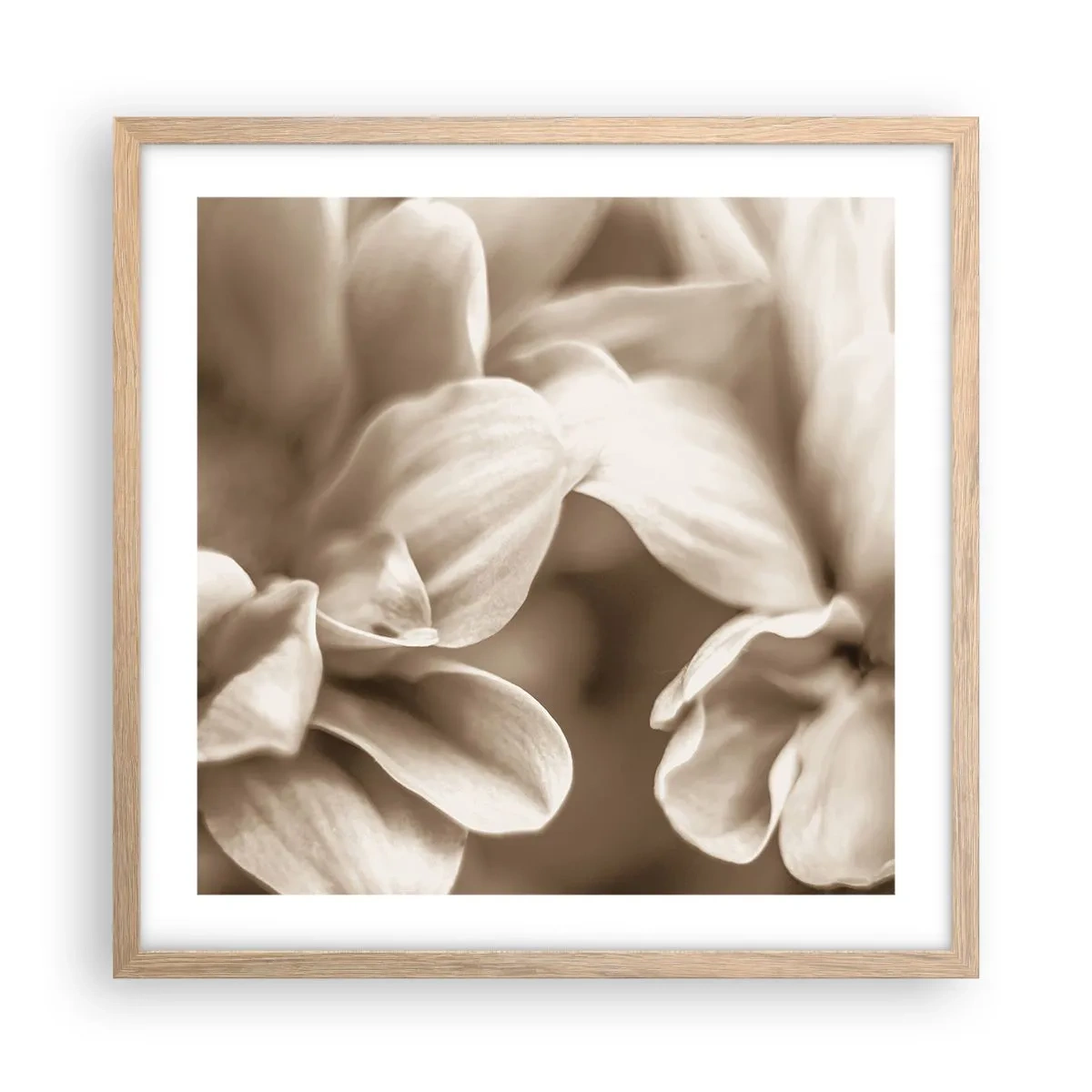 Affiche dans un chêne clair - Poster - Doux comme un sourire - 50x50 cm