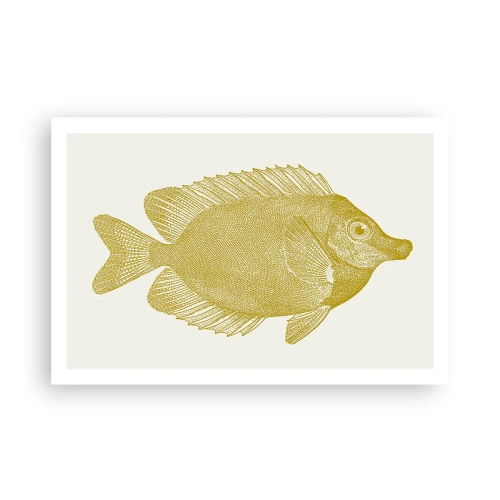Affiche - Poster - Du poisson et c'est tout - 91x61 cm