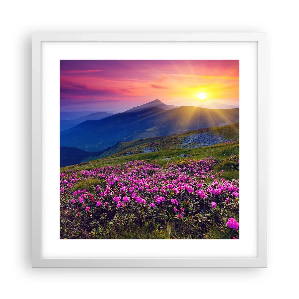 Affiche dans un cadre blanc - Poster - … Et autour, ça sent le pin des montagnes et l'odeur de la prairie - 40x40 cm