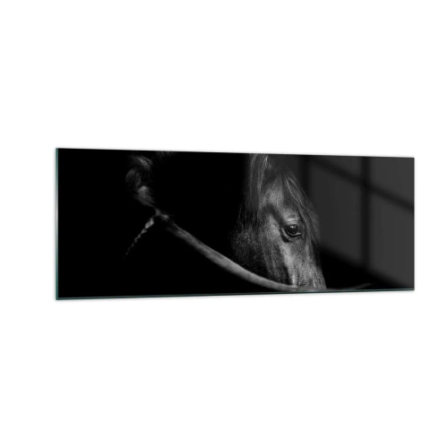 Impression sur verre - Image sur verre - Portrait en noir et blanc d'un cheval avec un jeu subtil de lumière et d'ombre sur un fond sombre. - 140x50cm - Prince Noir - Décoration murale moderne pour le salon et la chambre ARTTOR