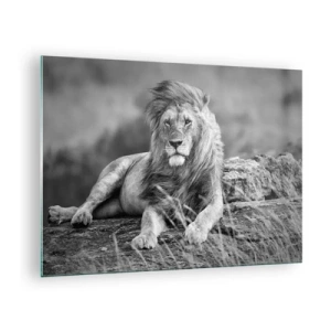 Impression sur verre - Image sur verre - Un lion reposant sur un rocher dans un paysage monochrome. - 70x50cm - Sieste royale - Décoration murale moderne pour le salon et la chambre ARTTOR