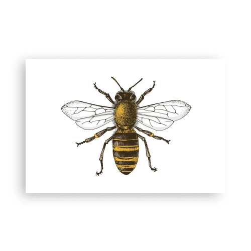 Affiche - Poster - Belle et bonne - 91x61 cm