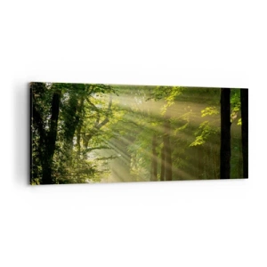 Impression sur toile - Image sur toile - Moment de forêt - 100x40 cm