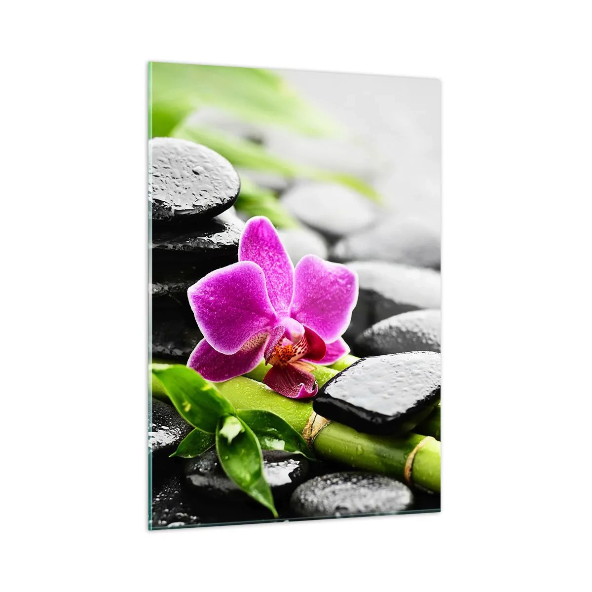 Impression sur verre - Image sur verre - Orchidée, pierres noires et bambou dans un arrangement tranquille - 50x70cm - Dans un équilibre de calme - Décoration murale moderne pour le salon et la chambre ARTTOR